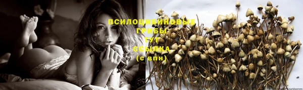 твердый Балабаново