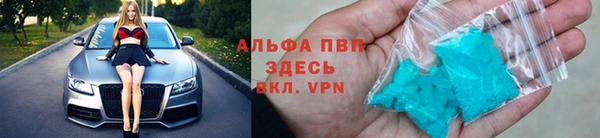 крисы Баксан