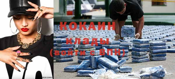 крисы Баксан