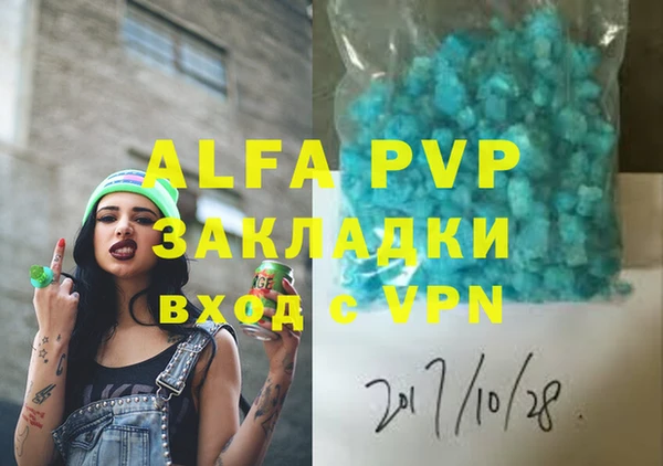 крисы Баксан
