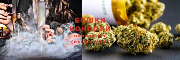 крисы Баксан