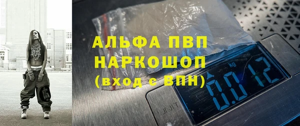 крисы Баксан