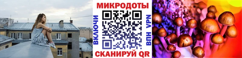 Галлюциногенные грибы мухоморы  наркота  Унеча 