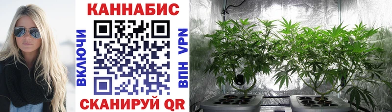 omg зеркало  Унеча  Каннабис VHQ 